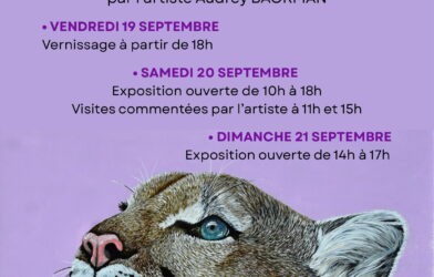 Exposition de peinture : Lumière sur ces âmes, après Cézanne
